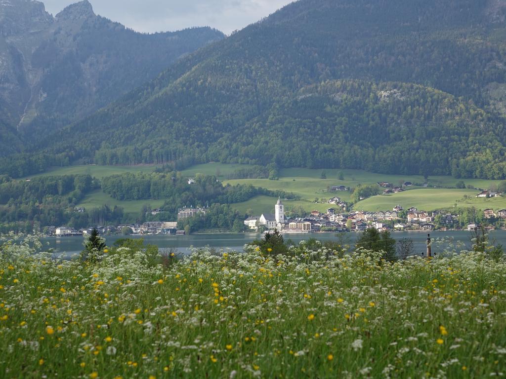 Lake View Apartment Saint Wolfgang Kültér fotó