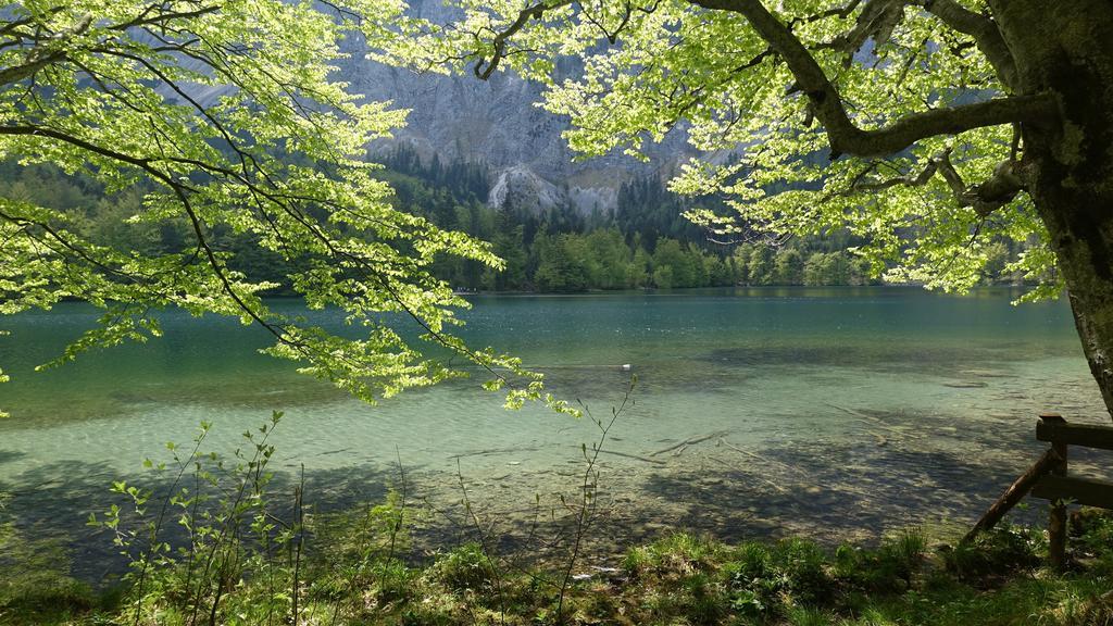 Lake View Apartment Saint Wolfgang Kültér fotó